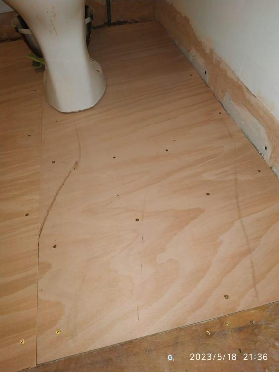 plyfloor4.thumb.jpg.af3e2ec582b3fd7d12e27590d5e1b17a.jpg