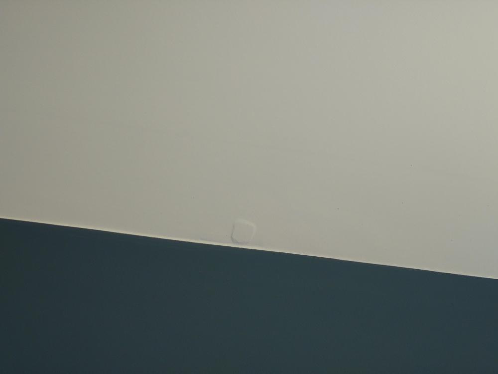 20230604_124606.thumb.JPG.ab0e664a9e65781b1db9865679471792.JPG