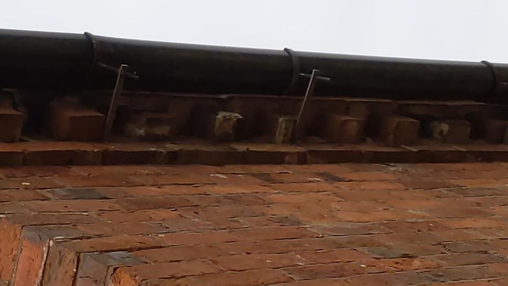 eaves.s.thumb.jpg.3fdcf381b2364f0cc4a6b34267a123a8.jpg