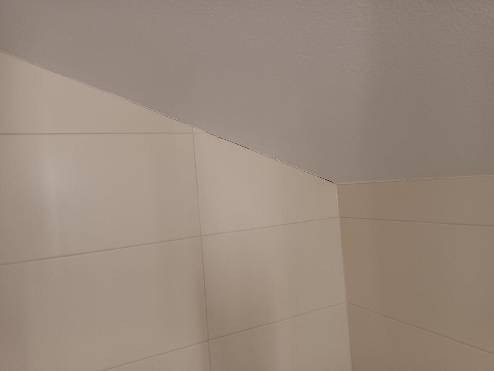 20230808_211602.jpg