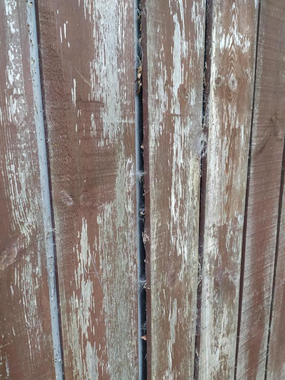 cladding2.jpg