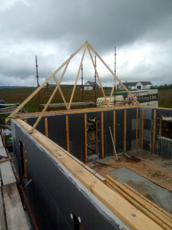 firsttruss.thumb.jpg.2b9b6fbab77a3ac24b6e025400dc6c20.jpg