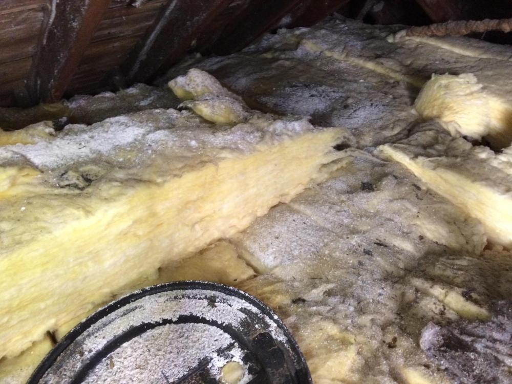 Moreresidueonglasswool.thumb.JPG.b48e53d8ec7659707da6c409ecf03cfd.JPG