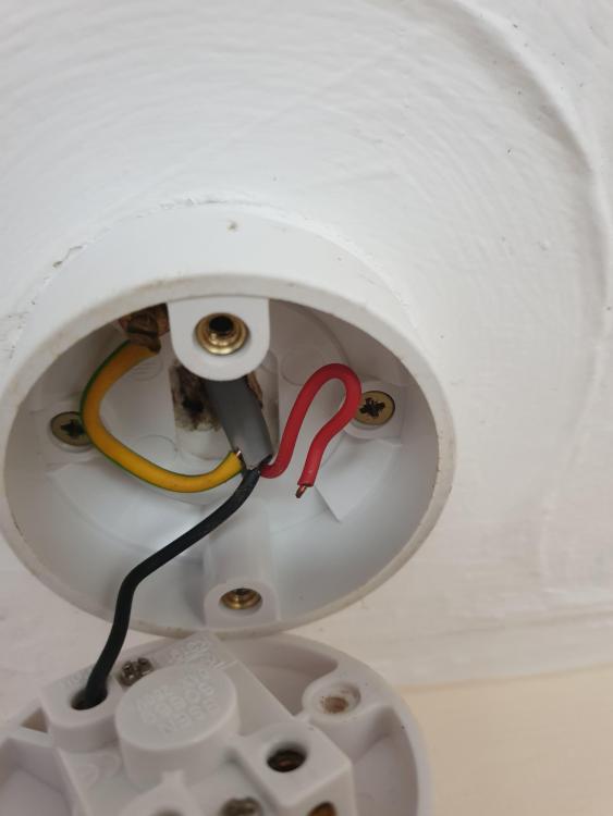 light socket.jpg