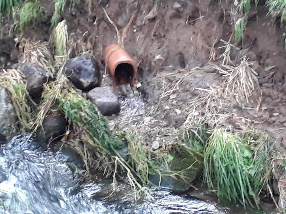 Drain_1.thumb.jpeg.8403034bc150b63dfded16688ea7def3.jpeg