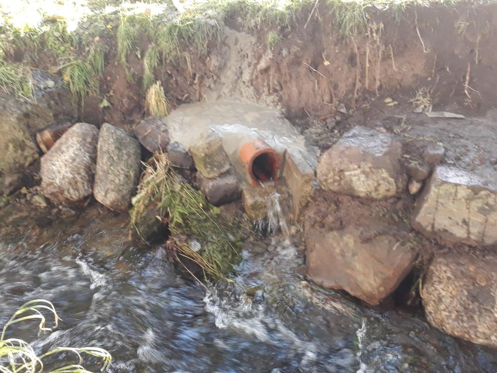 Drain_3.thumb.jpeg.ff3c0a87eed1b5dda7f6cdbd09efd635.jpeg