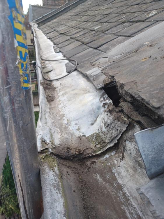 Gutter.jpg
