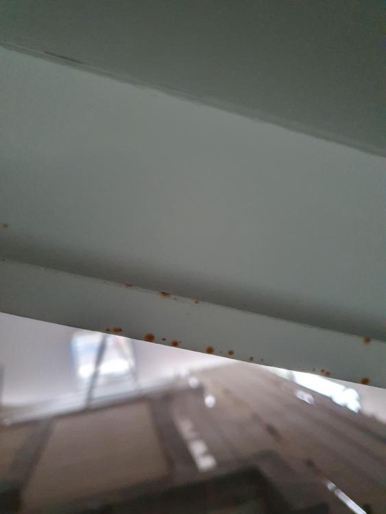 20231125_145417.jpg