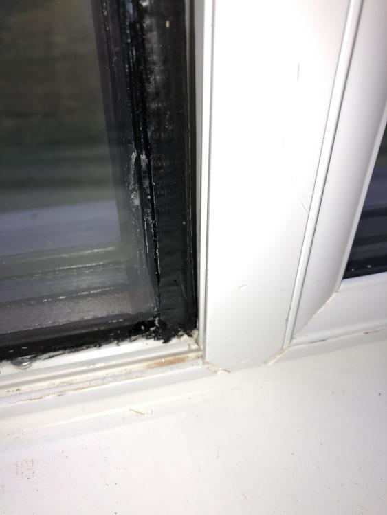 IMG_3127.thumb.jpeg.55d015329afc01ea36328b22f509e40d.jpeg