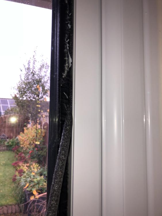 IMG_3129.thumb.jpeg.d3723756023ddcfb9982858caae0769c.jpeg