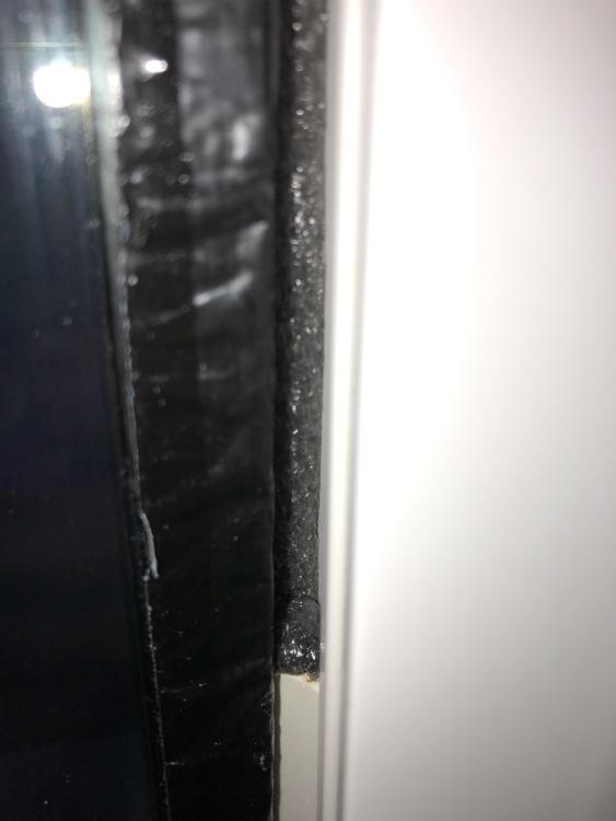 IMG_3130.thumb.jpeg.7b961db51e241aad11550add8d07b8f9.jpeg