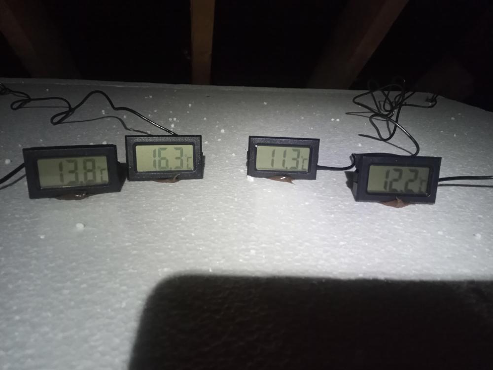 temp2.jpg