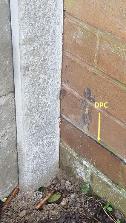 20240104-photo-fence-dpc-bridged.jpg