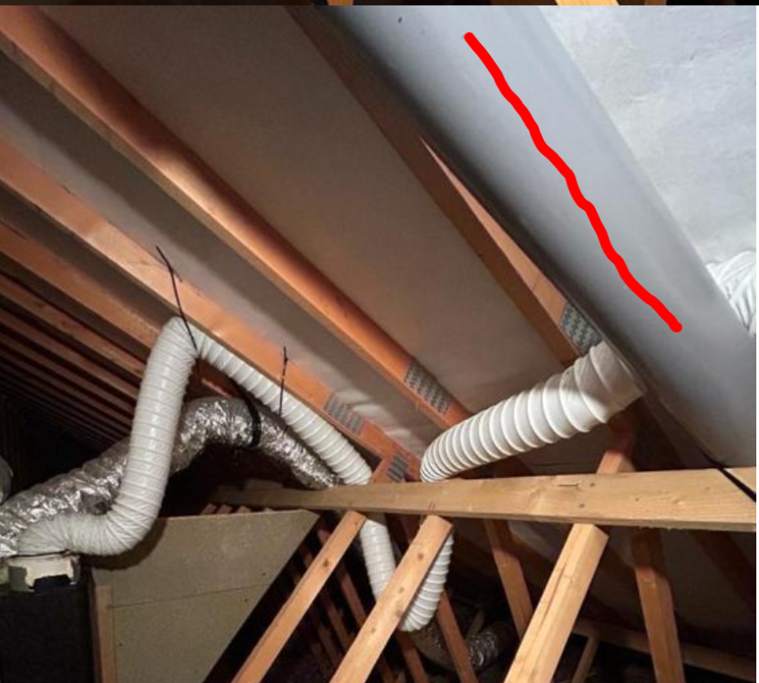 image.thumb.png.f67cfc87a3c2b2e11720fc1a8cbb50e2.png