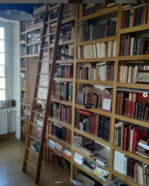 image.thumb.png.f97975089787e9aeef7096637c6d07e4.png