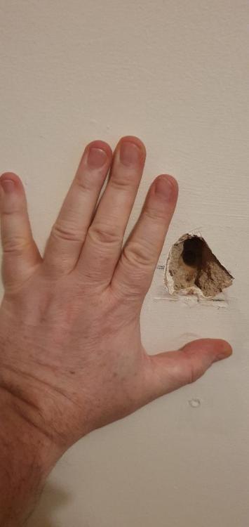 thumbnail2.jpg