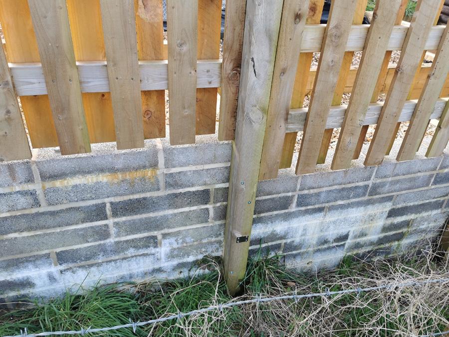 Efflorescence2.jpg.ee562e3fe71b1d301e3ebcba5a011a56.jpg