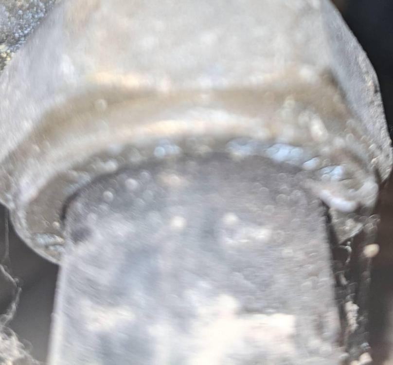 Imagepipe_0.thumb.jpg.32a3e38dce58ba007c38f03ba9574e10.jpg
