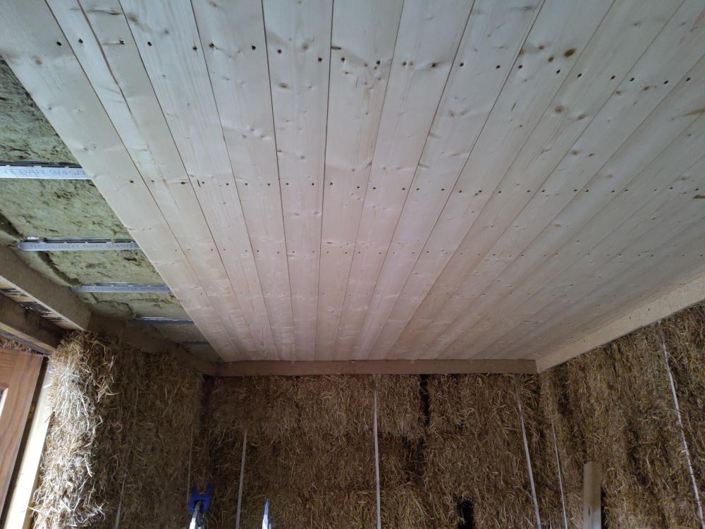 ceiling.thumb.jpg.0be5845d9668d70bcc212091c745cc21.jpg