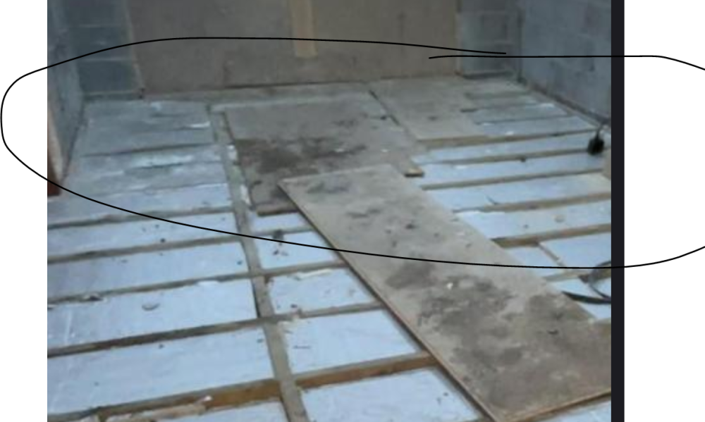 image.thumb.png.ff45d4fab33c1dbc9370cf732ea59b52.png