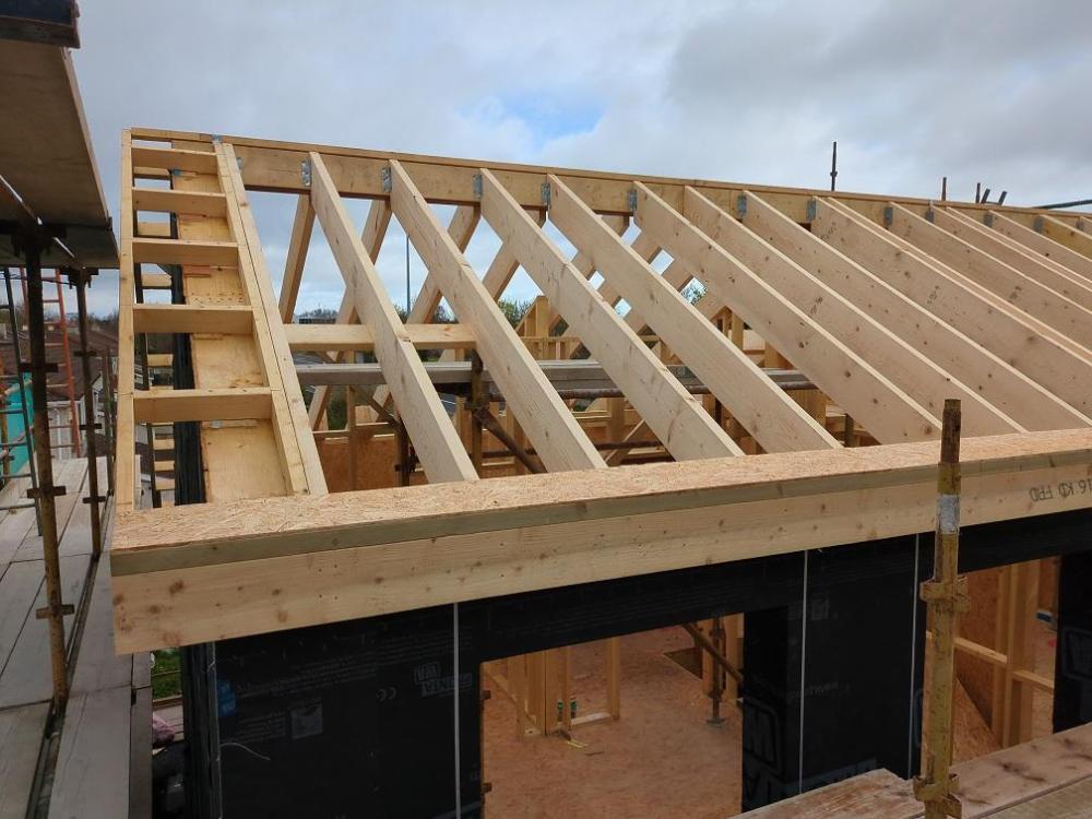 roof1.jpg