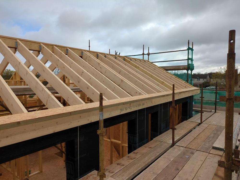 roof2.jpg