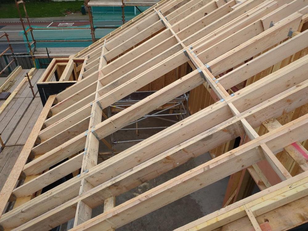 roof4.jpg
