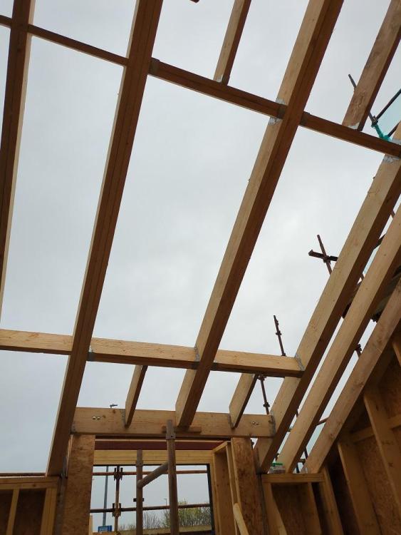 roof5.jpg