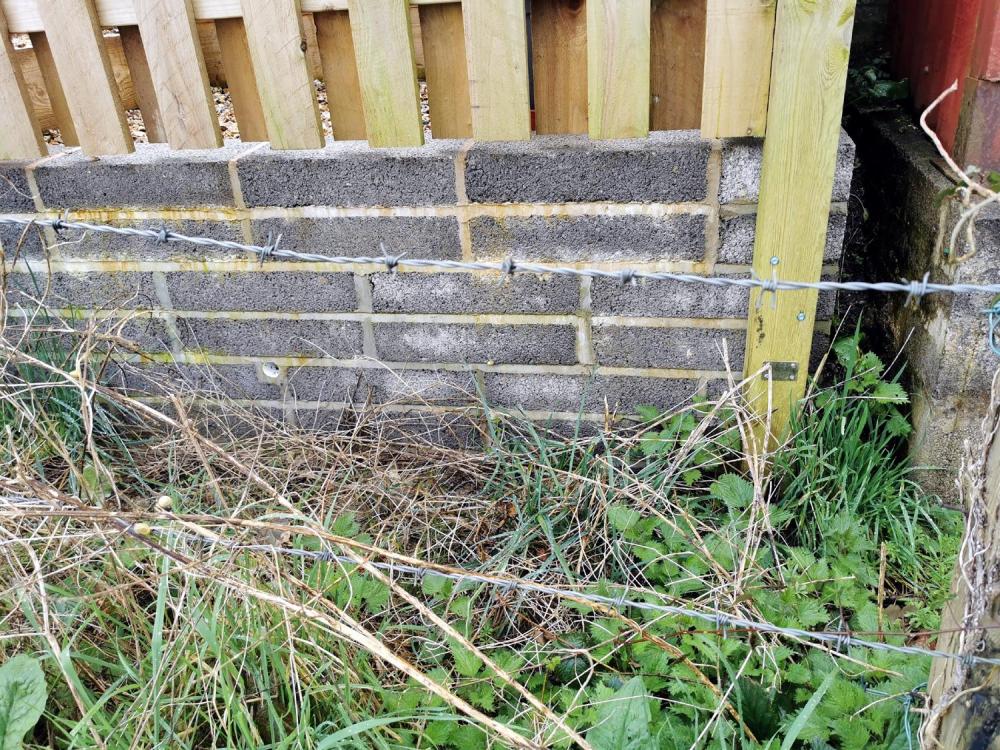 wall01.thumb.jpg.2bd0586daa85341fcecc230fefd525c1.jpg