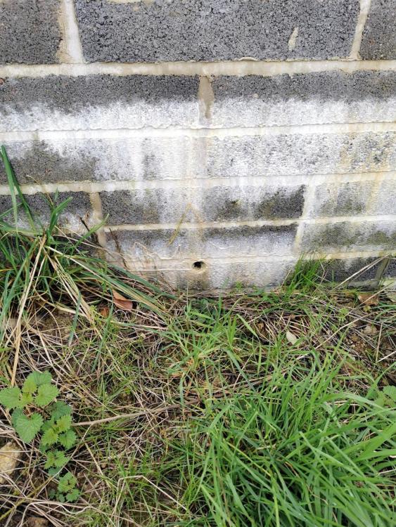 wall110324.thumb.jpg.663e3885eacd4bbec1d965ef3581ed28.jpg