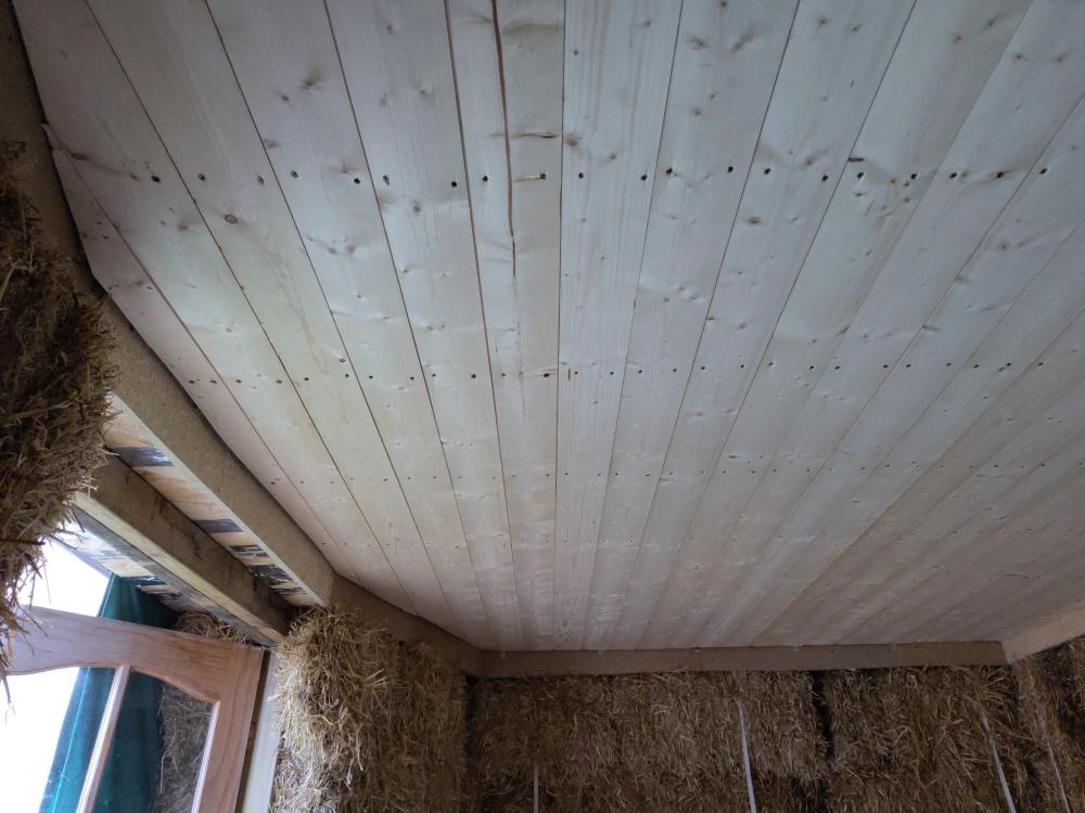 ceiling.thumb.jpg.5d22e9a09eae1784e6fdd0f844262db9.jpg