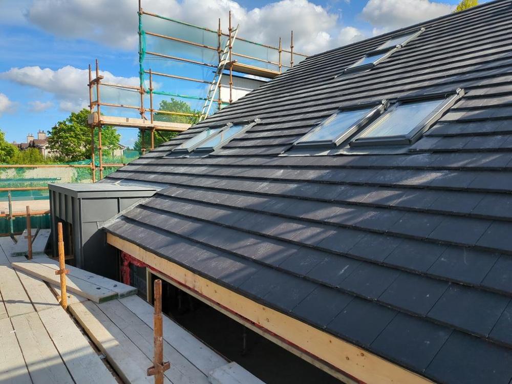 roof.jpg