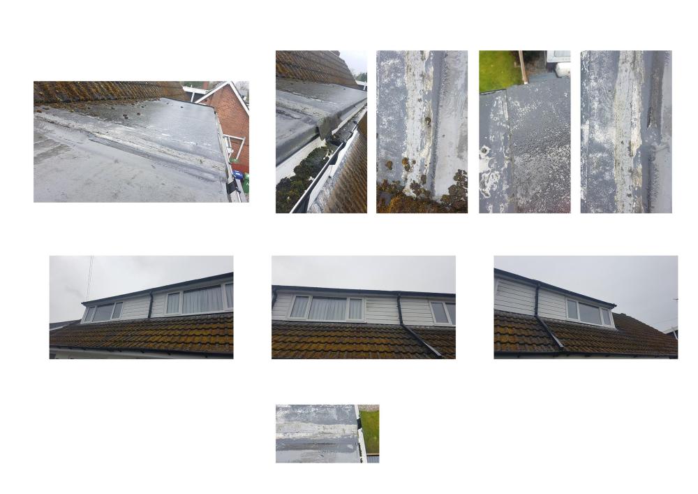 roof situation 2.jpg