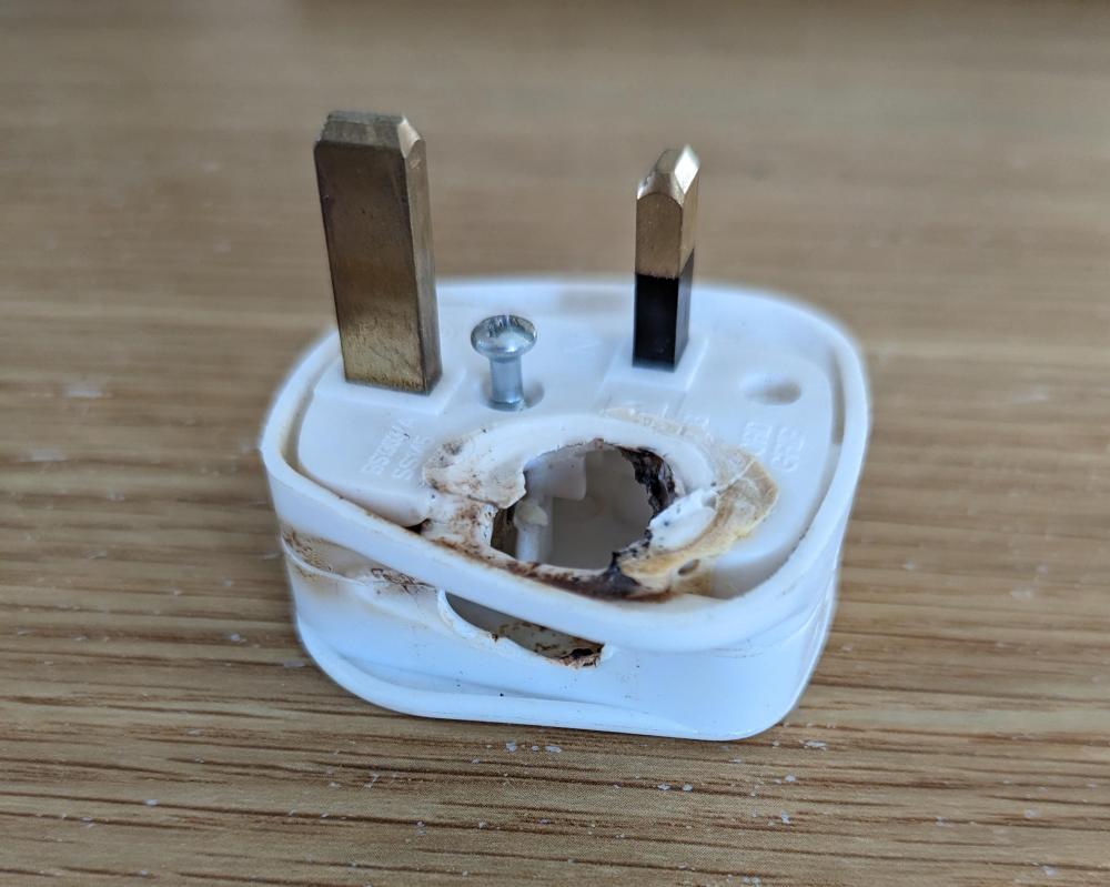 PXL_20240504_064025378.jpg