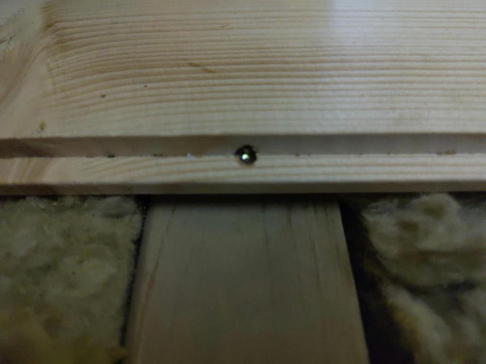 floor-screw.thumb.jpg.9288a6ca0ec4232705b054e6c8a00aa4.jpg
