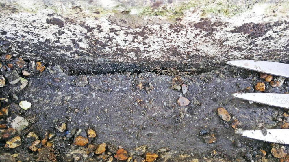 french-drain-roots.thumb.jpg.ec21678090458131f44c88242eb79bb6.jpg