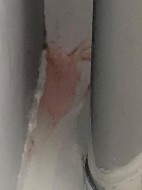 shower stain.jpg