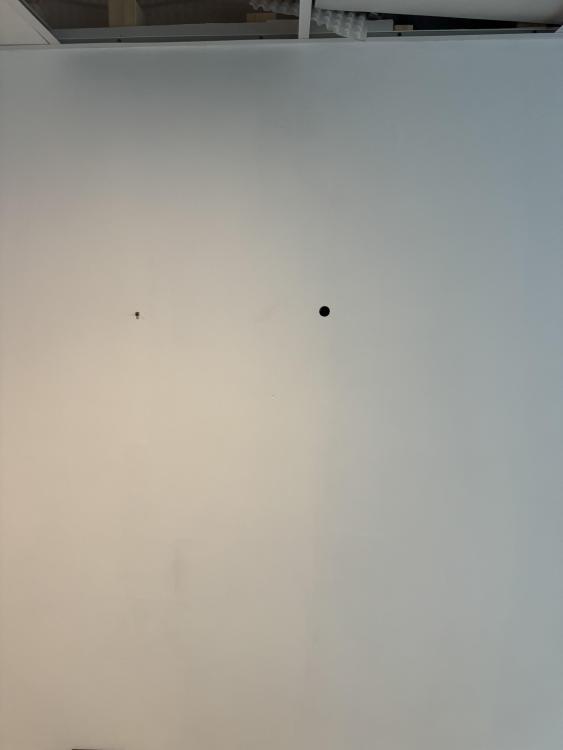 IMG_9980.jpeg