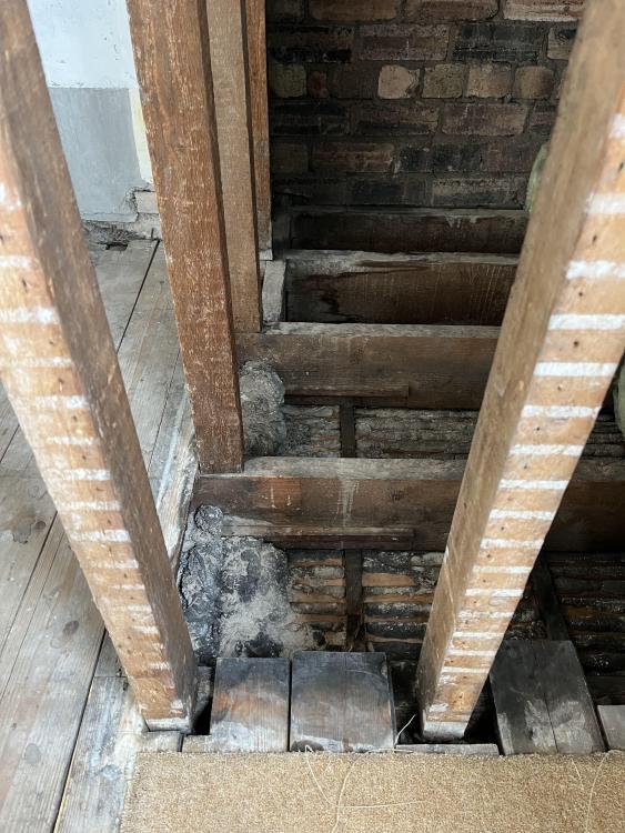 Roof-02.jpg