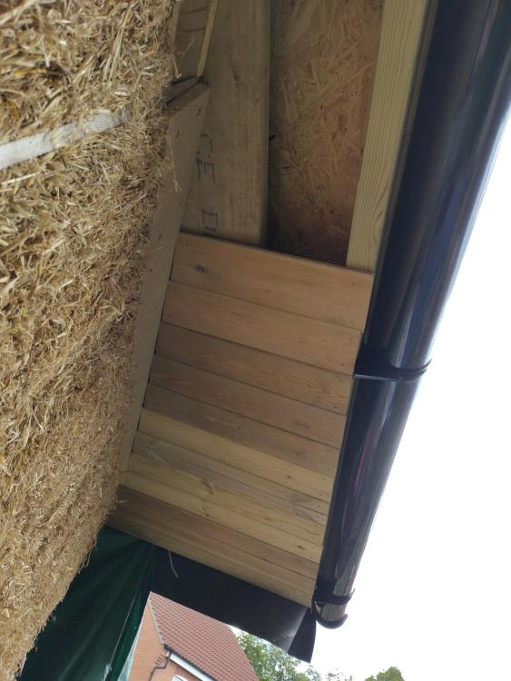 cladding-1.thumb.jpg.c24536425557cbebbe69415c32f46011.jpg
