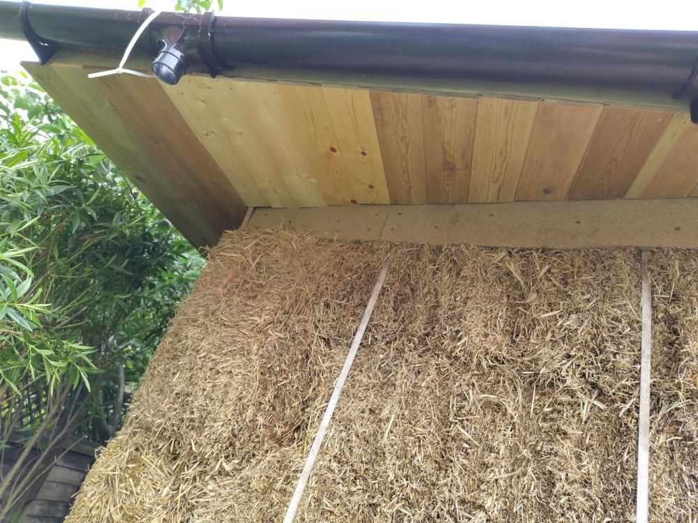 cladding-3.thumb.jpg.47d51c12ededf66d63e72257deb790cf.jpg