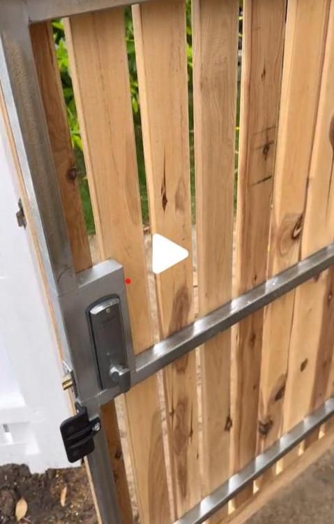 door.thumb.jpg.deb82dc53e85089671953981f4919d5f.jpg