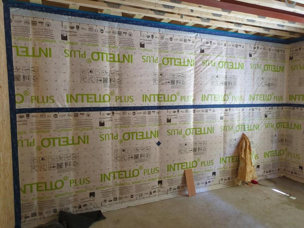 intello1.jpg