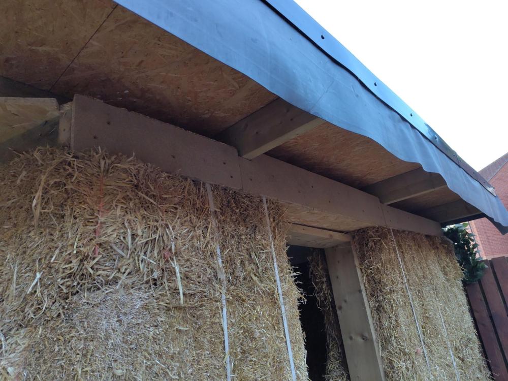 wall-window-side-boarded.thumb.jpg.9d055c8ad1e271e748bae0d0c5b920ee.jpg