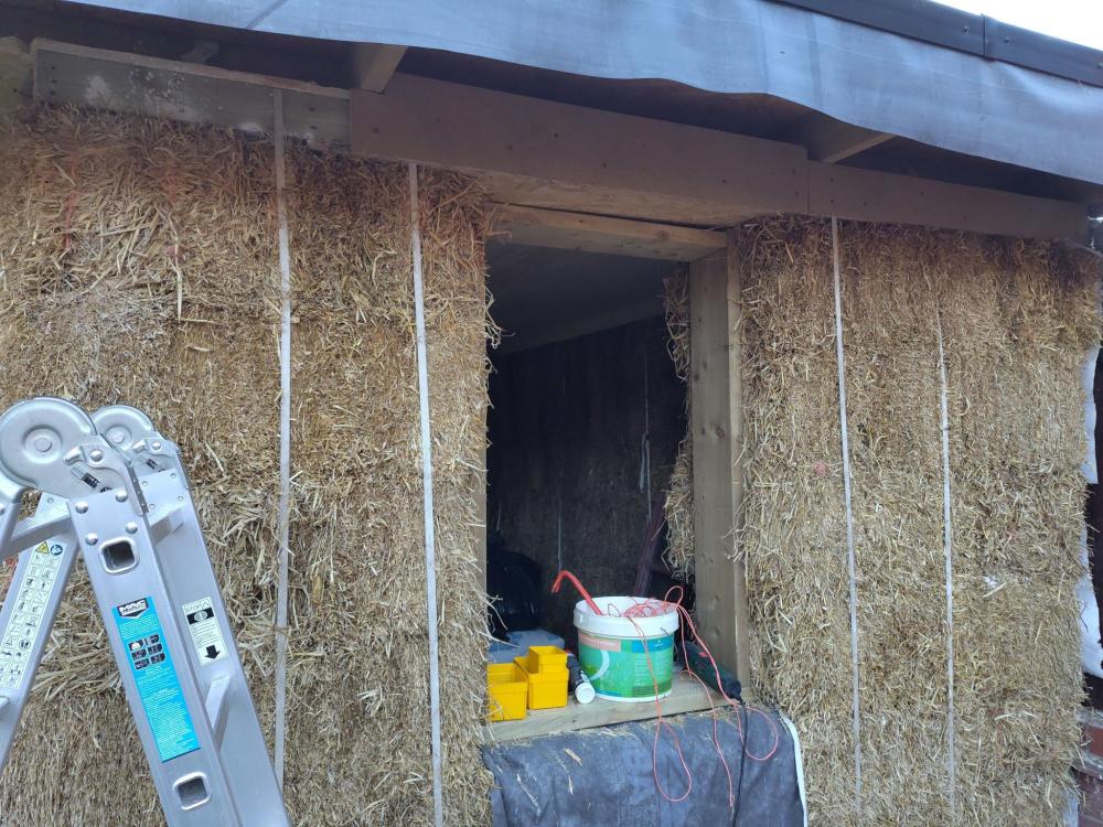 wall-window-side-trimmed.thumb.jpg.10c1e222aca1a7ba60ede41c604243fa.jpg