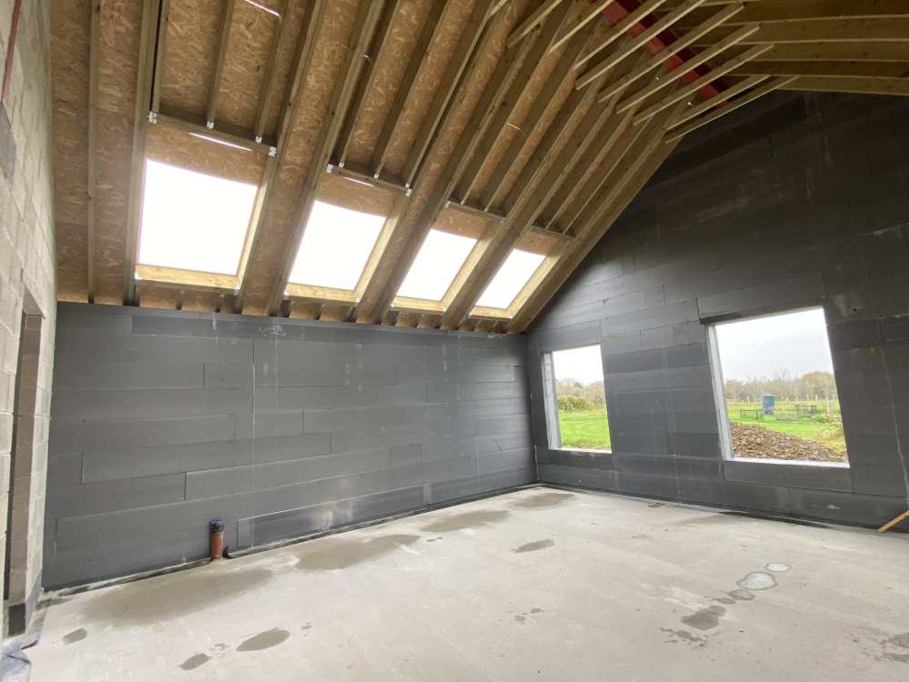 IMG_2637.thumb.jpeg.a4f314977cc687917f60a889280ce1e1.jpeg