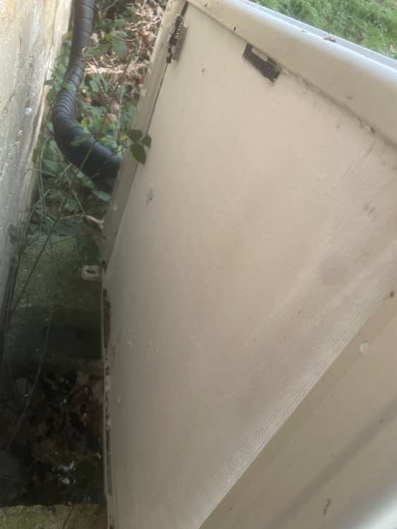 IMG_5891.thumb.jpeg.f1683303e3e0b8e18de97ecaf0bd4be3.jpeg