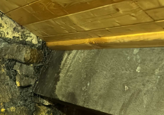 plank.png.c3f90551973de50f9388de1dae21ee2a.png
