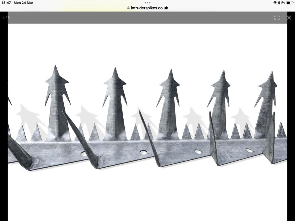 IMG_0357.thumb.png.12442c1ec93b2b24f87d77e3c2de7cbf.png