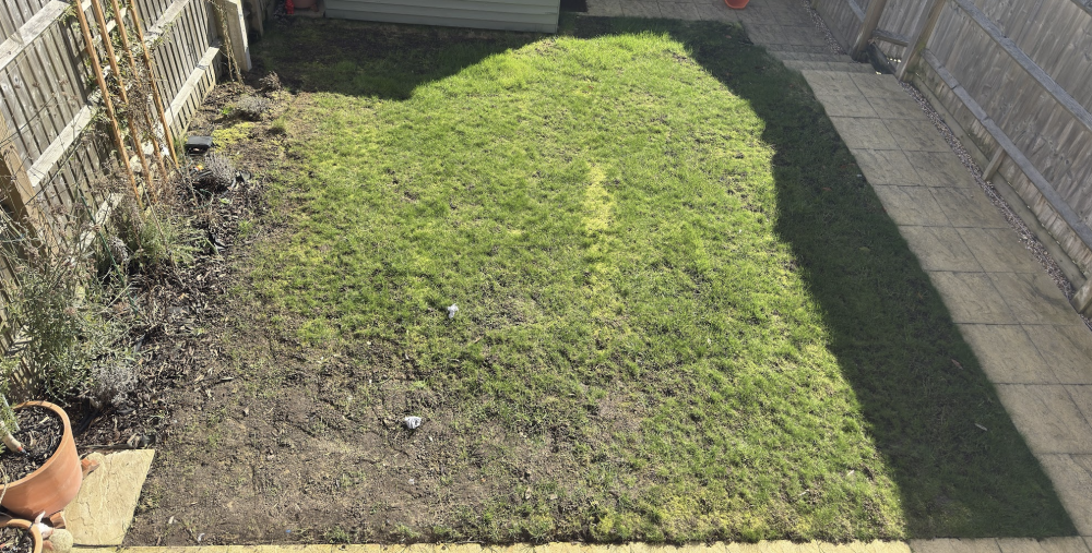 image.thumb.png.ef4105a404bb12eeac5839b8f8982304.png